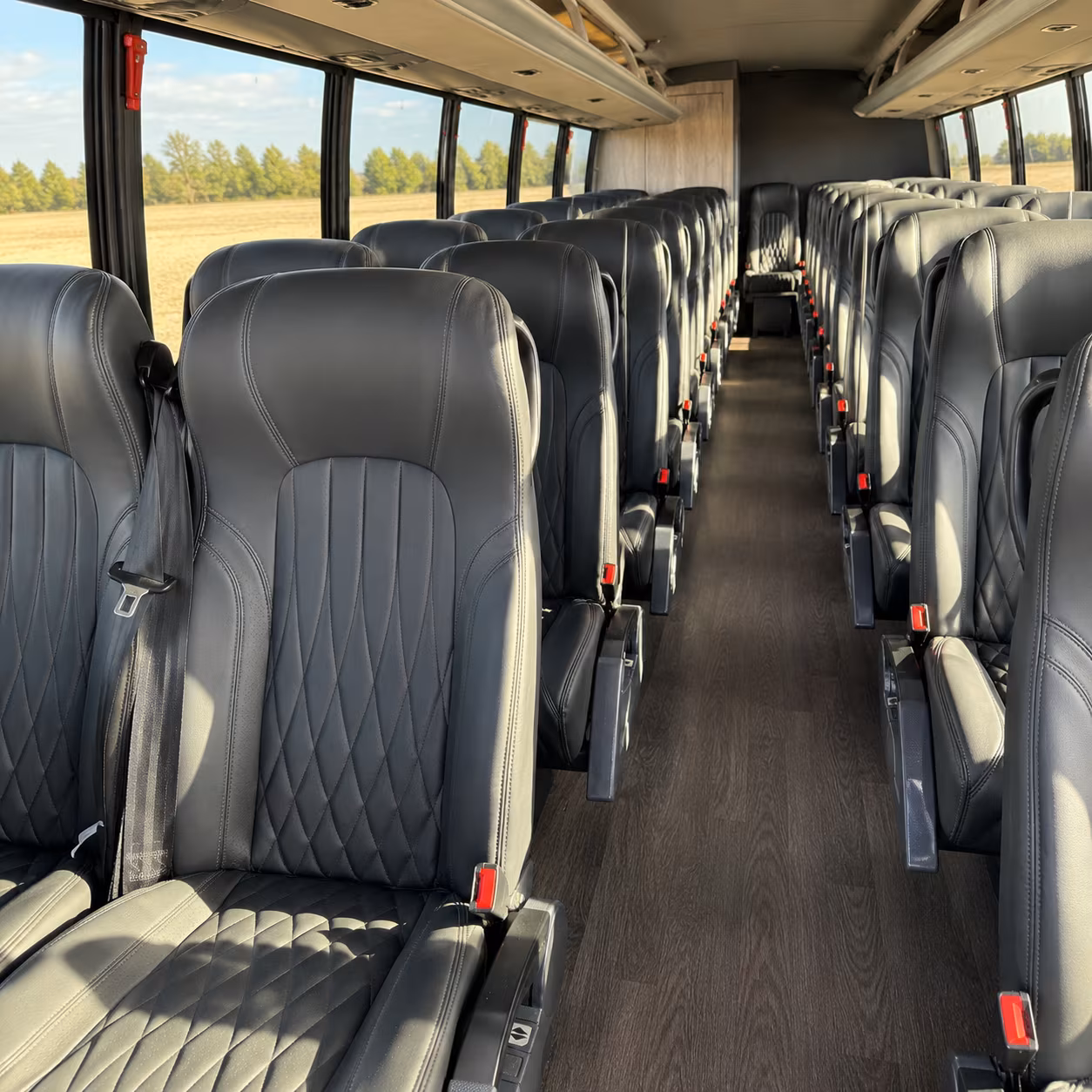 Little Rock School Event Transportation party bus exterior